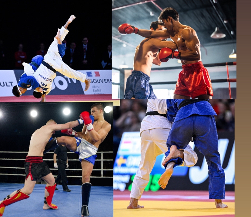 Judo and Kickboxing : Represent SKEMA at the University Championships! || Représentez SKEMA lors des championnats universitaires !